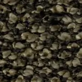 Woven textile material in beige, tan, and brown tones displays a dense, organic texture with curled, petal-like components and subtle color variation.